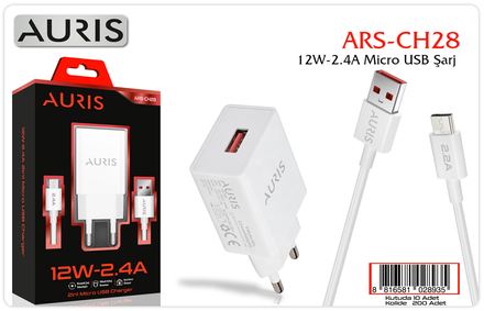 Auris CH28 12W Micro Set